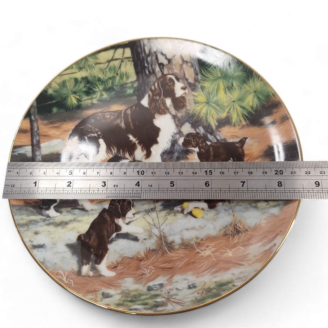 Measurement image of Classic Sporting Dogs plate