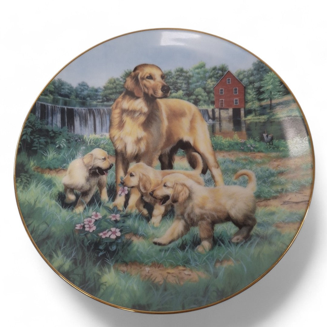 Front image of Classic Sporting Dogs plate