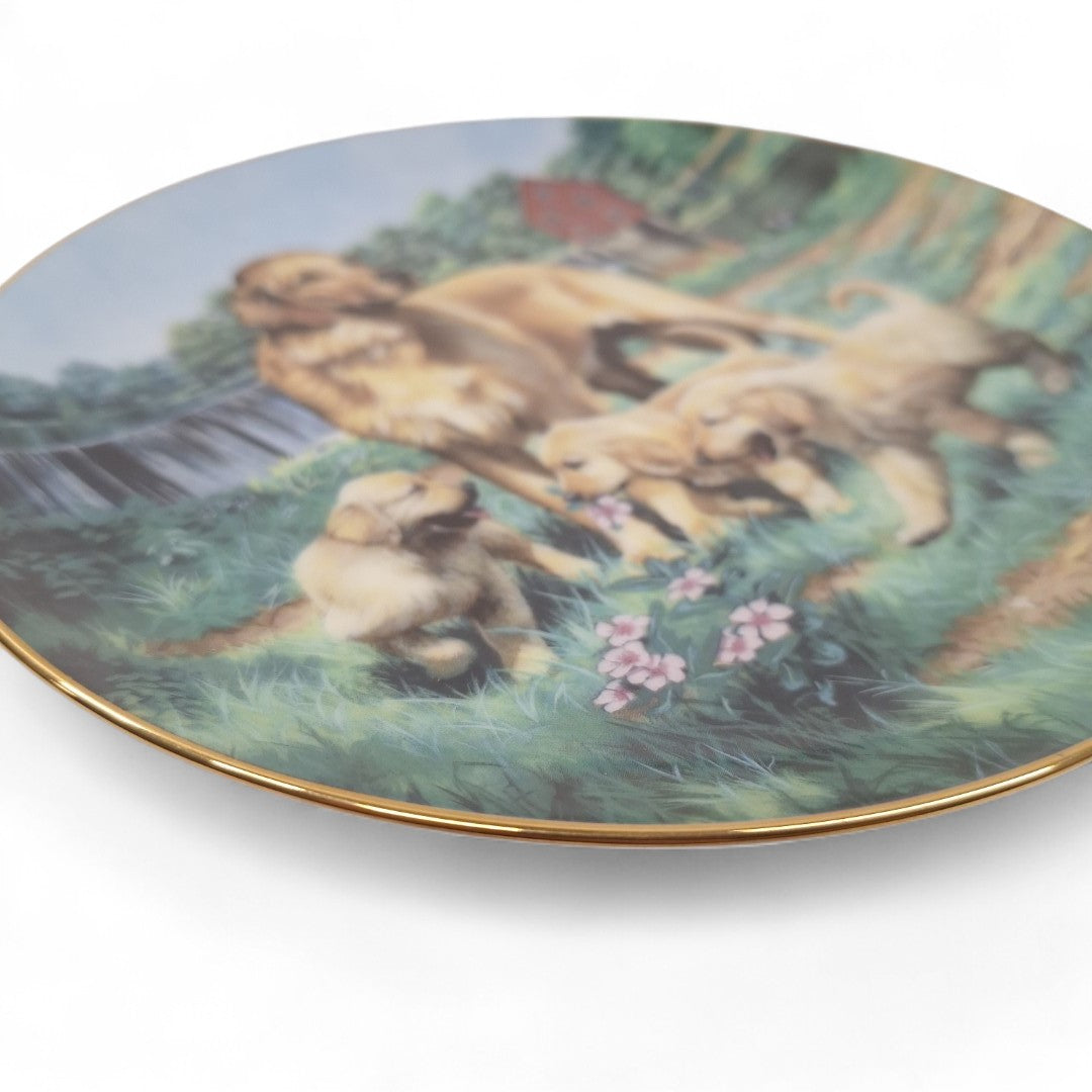 Close up image of Classic Sporting Dogs plate