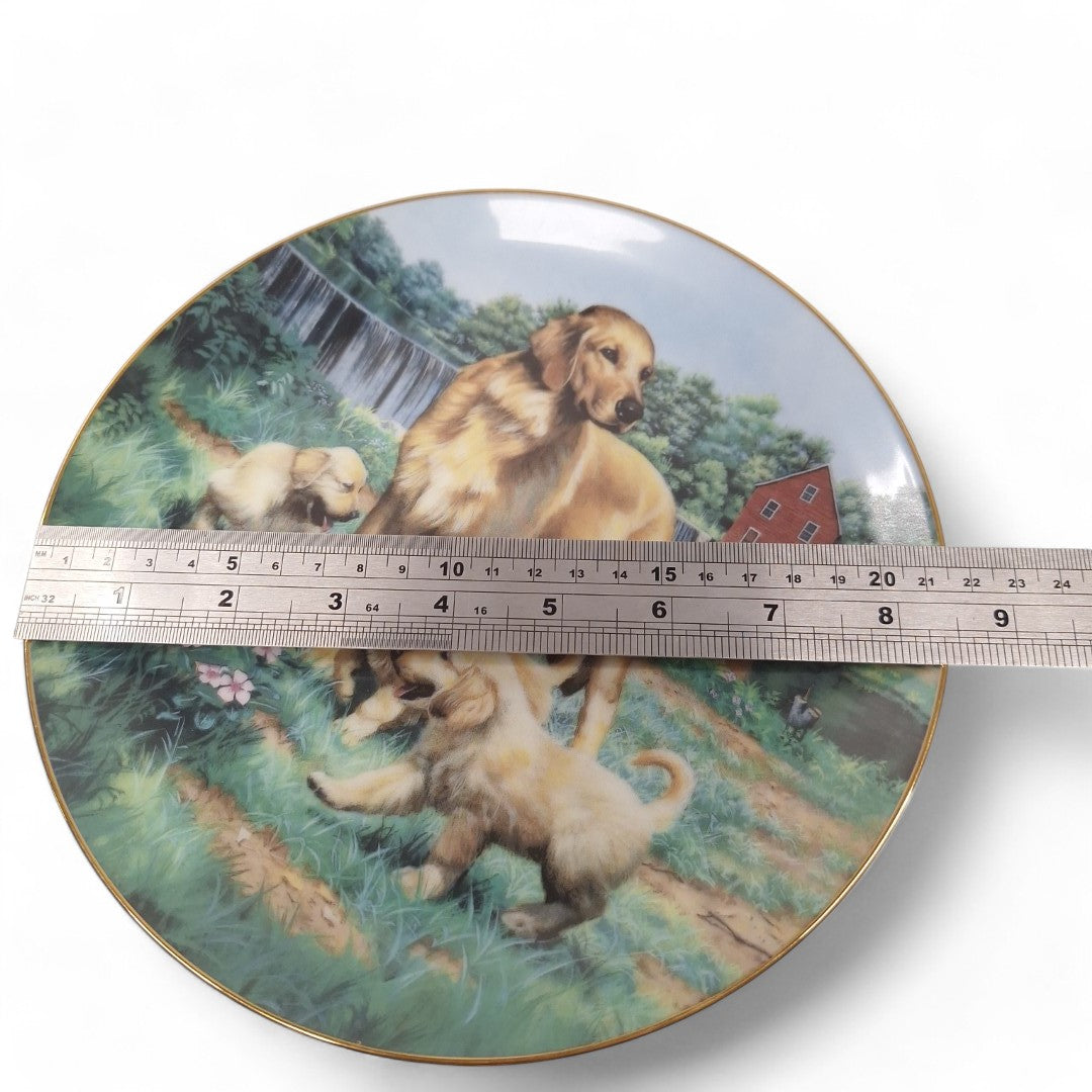 Measurement image of Classic Sporting Dogs plate