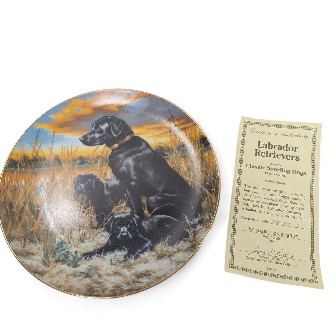 Front image of Classic Sporting Dogs plate