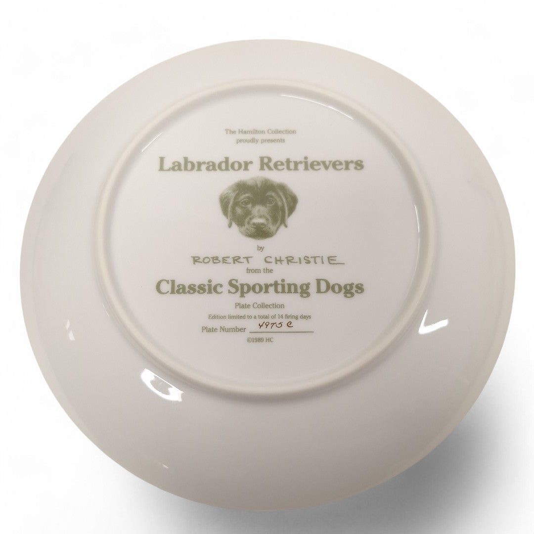 Underside image of Classic Sporting Dogs plate