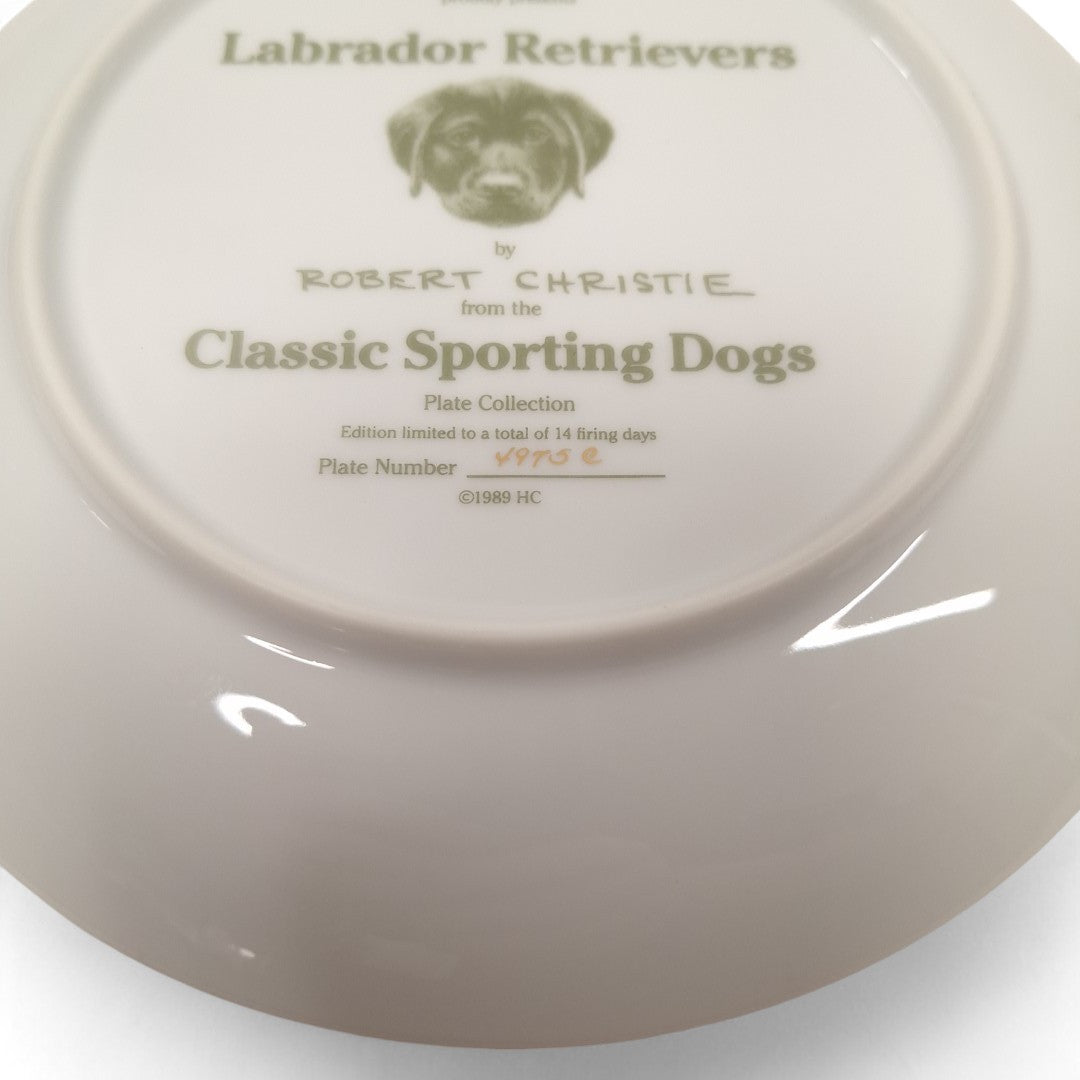 Close up image of Classic Sporting Dogs plate