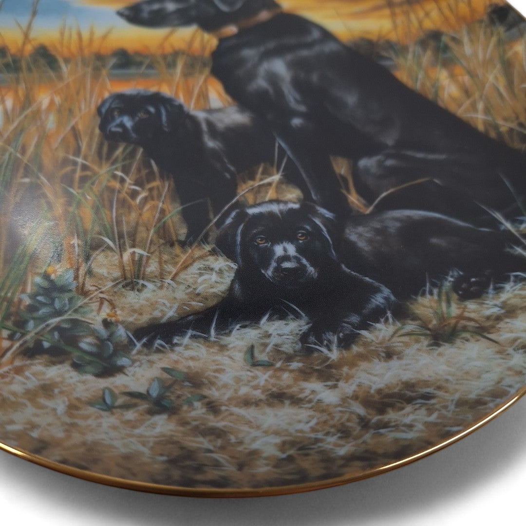 Close up image of Classic Sporting Dogs plate