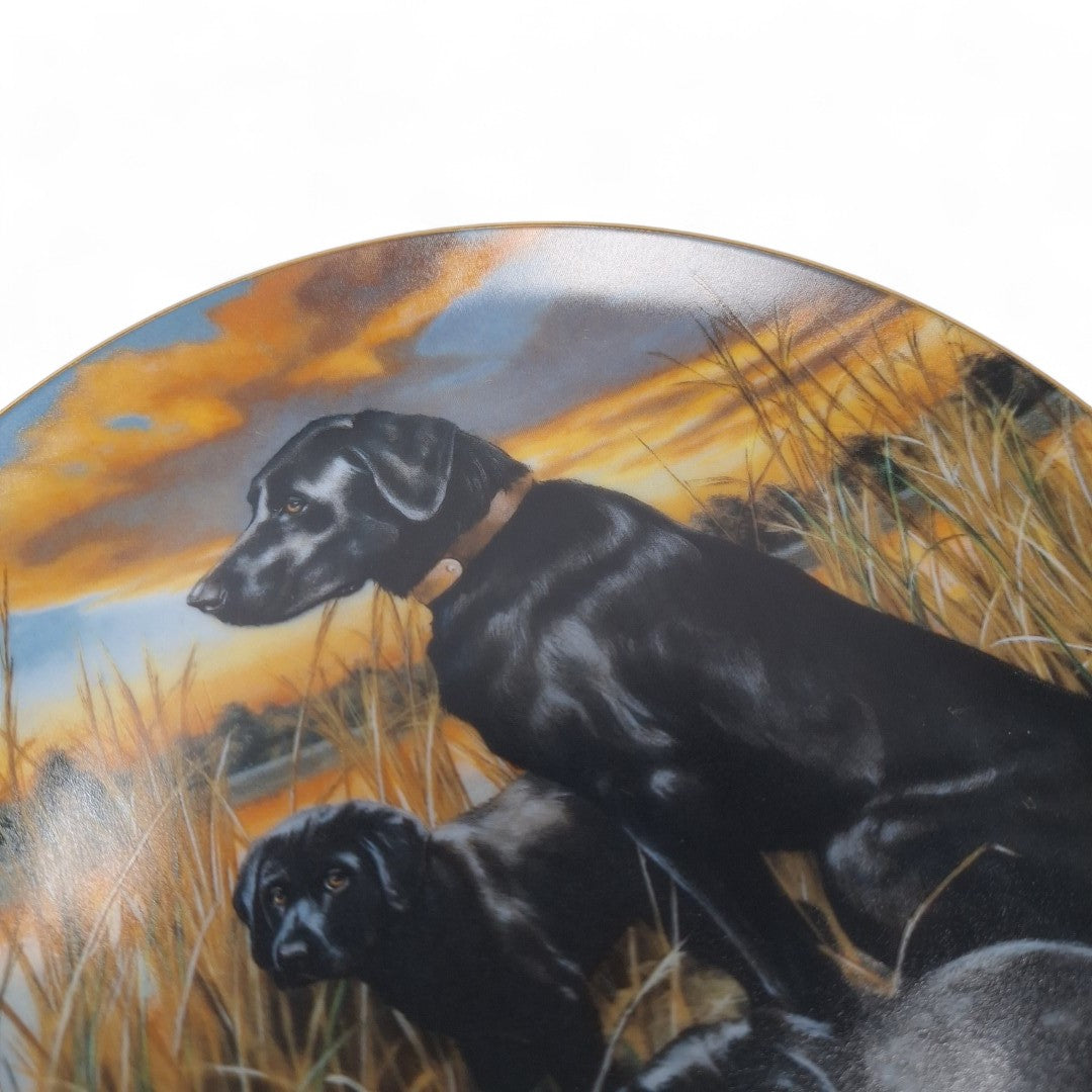 Close up image of Classic Sporting Dogs plate