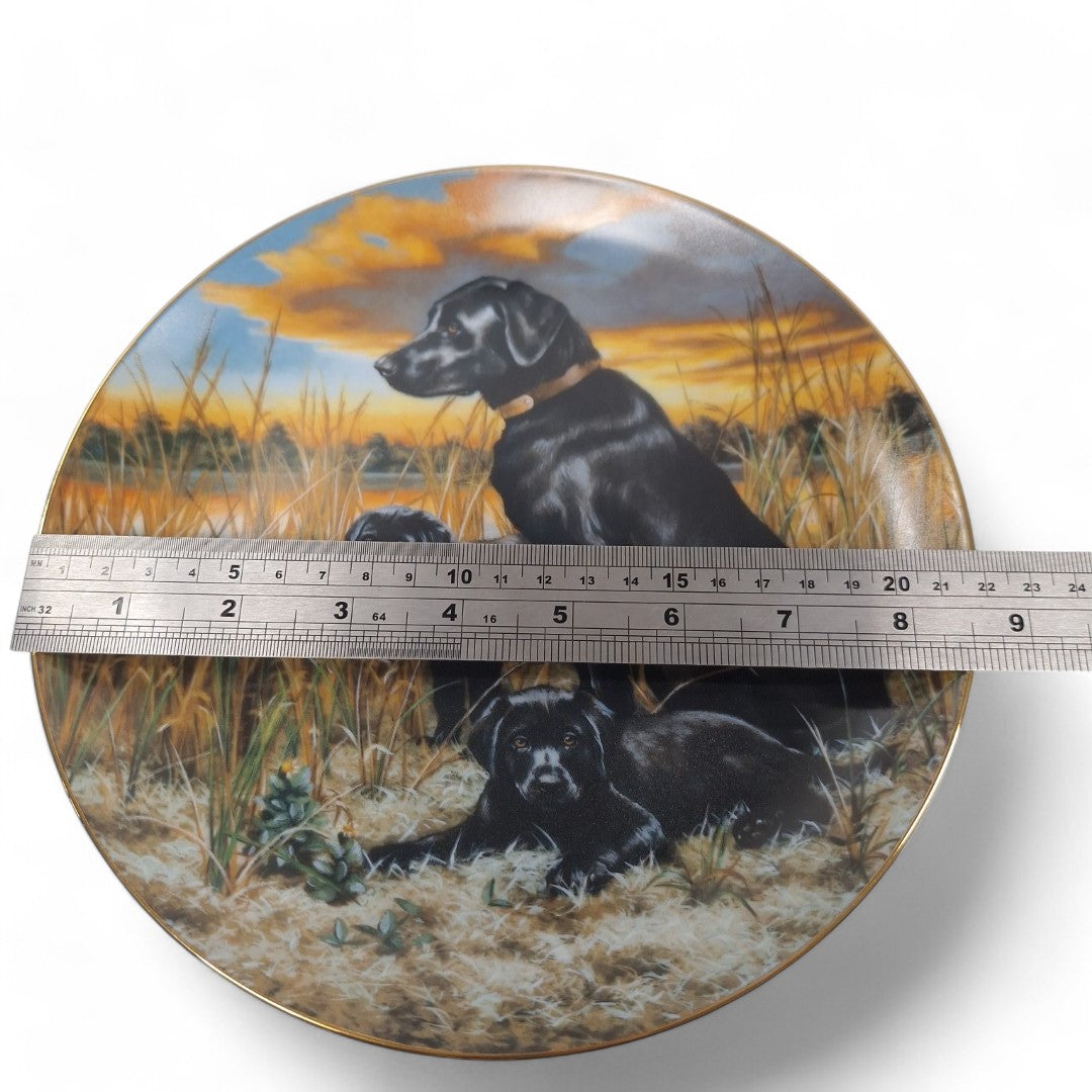 Measurement image of Classic Sporting Dogs plate