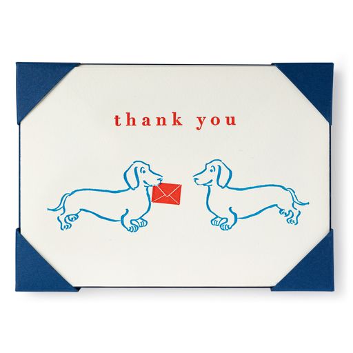 Dachshund- 5 pack Letterpress Thank You Cards-  Archivist