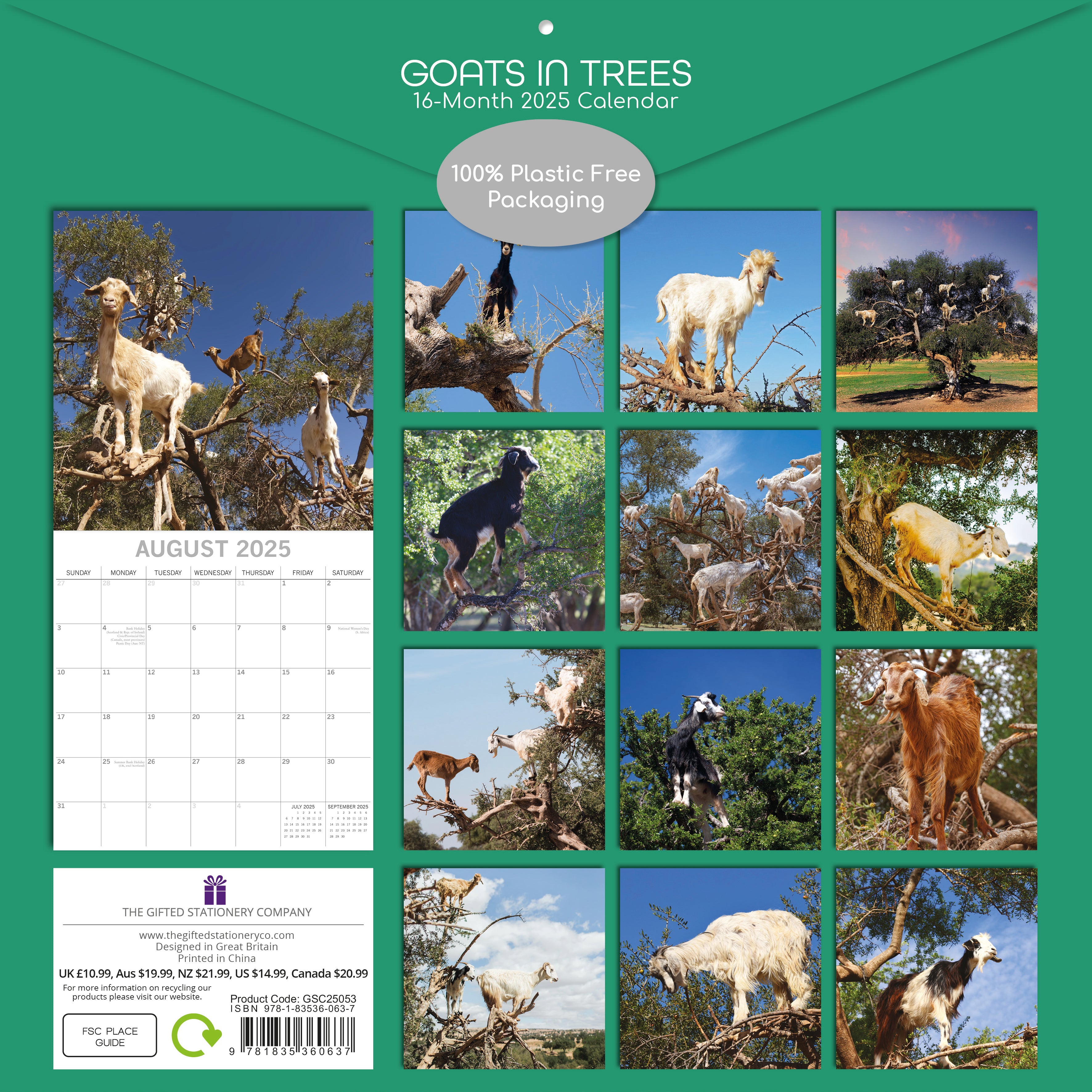 Rear image of goats in trees 2025 square wall calendar showing 12 photographic images of goats standing in trees