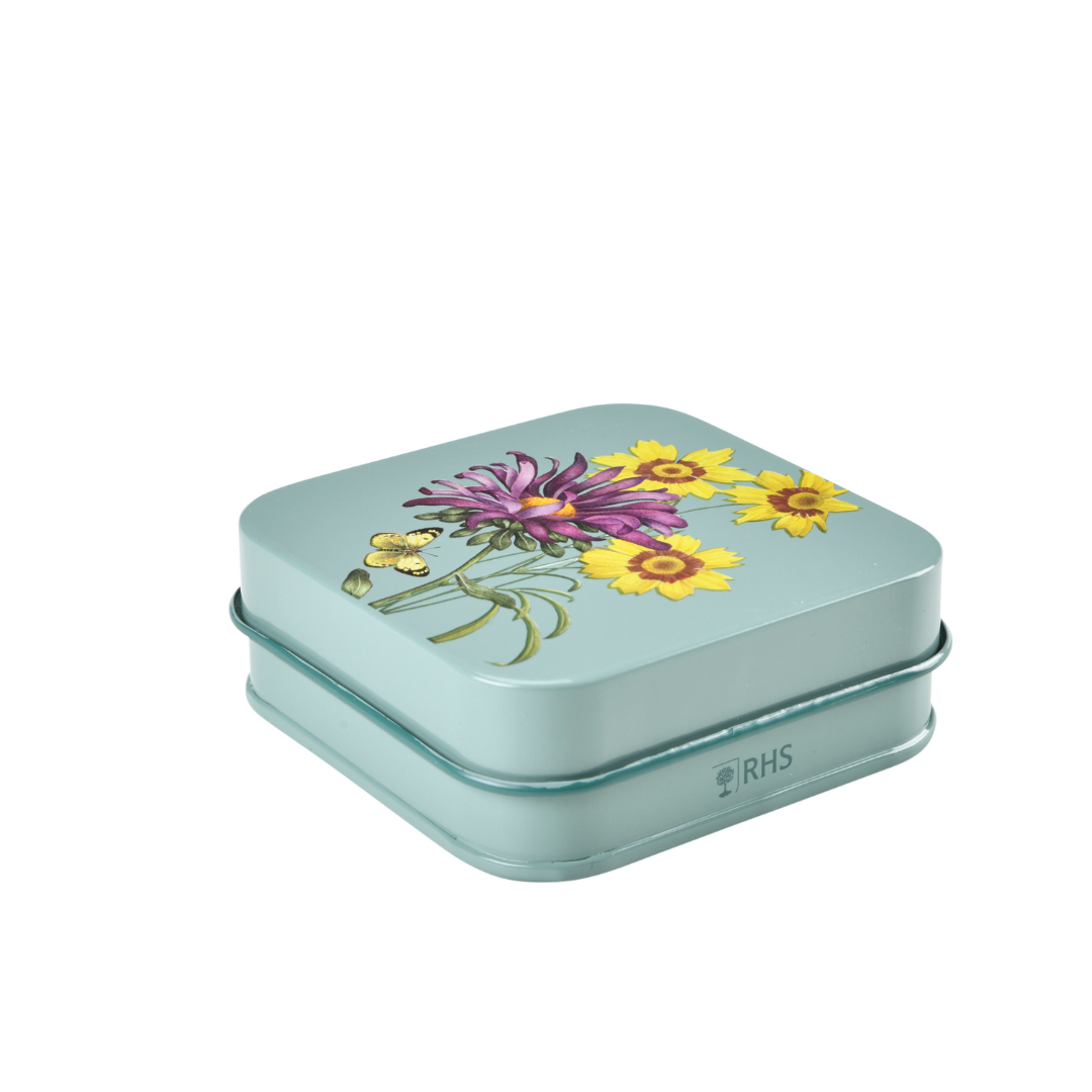 Asteraceae | Herb Set