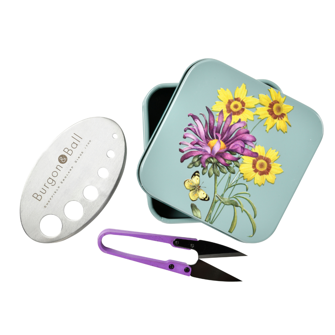 Asteraceae | Herb Set