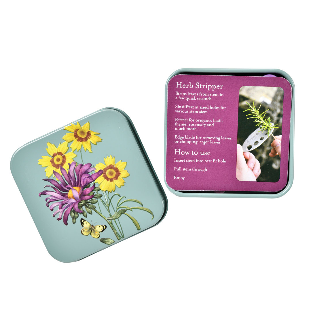 Asteraceae | Herb Set
