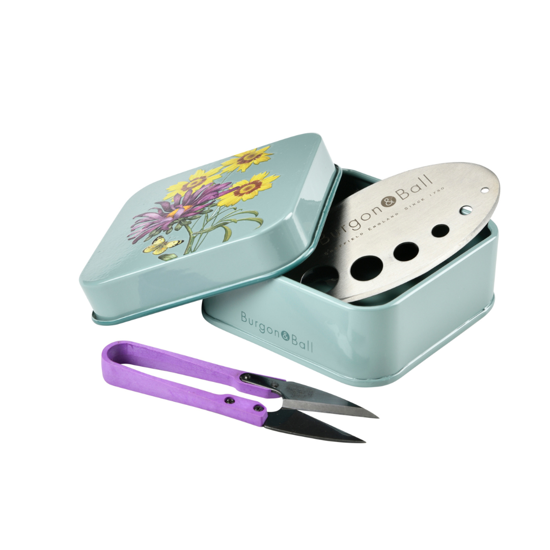 Asteraceae | Herb Set