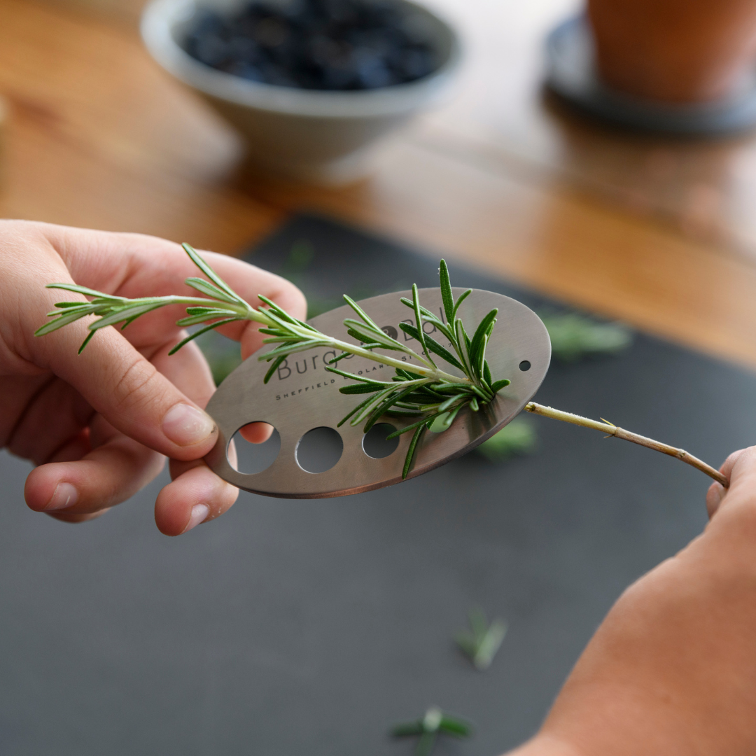Asteraceae | Herb Set