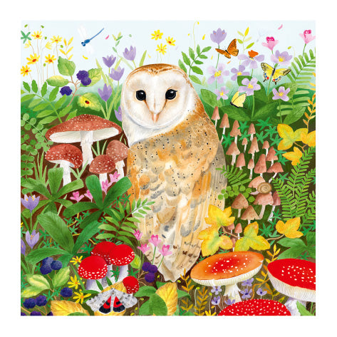 Set of 4 Wildlife illustrated greeting cards | Bex Parkin