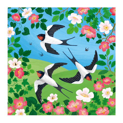 Set of 4 Wildlife illustrated greeting cards | Bex Parkin