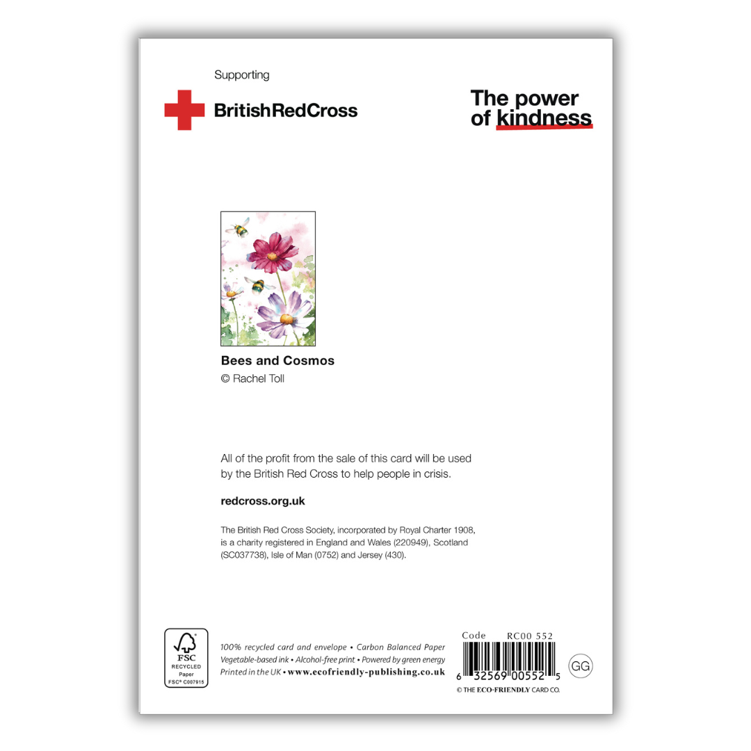 Set of 4 illustrated greeting cards | Rachel Toll