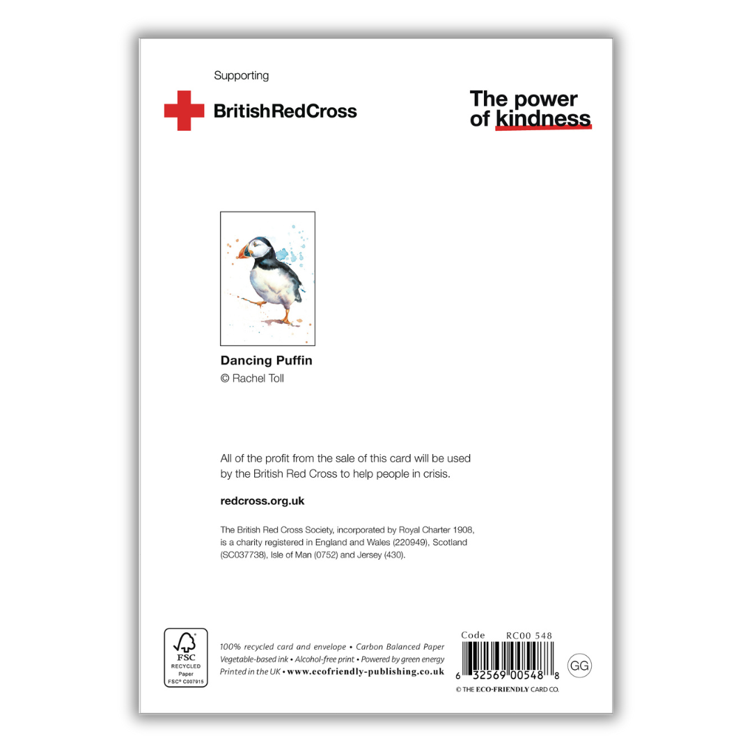 Set of 4 illustrated greeting cards | Rachel Toll