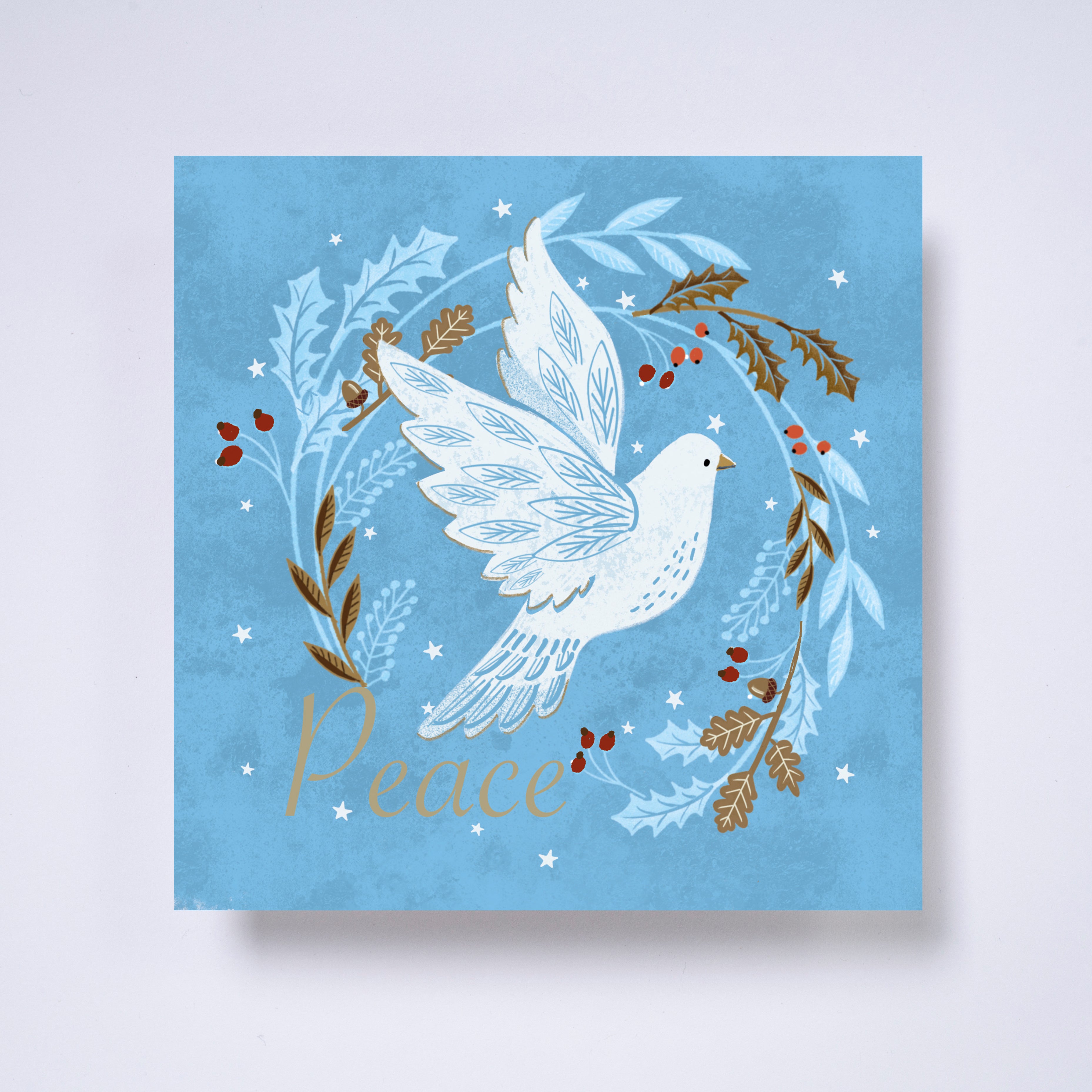 Dove - pack of 10 charity Christmas cards with envelopes