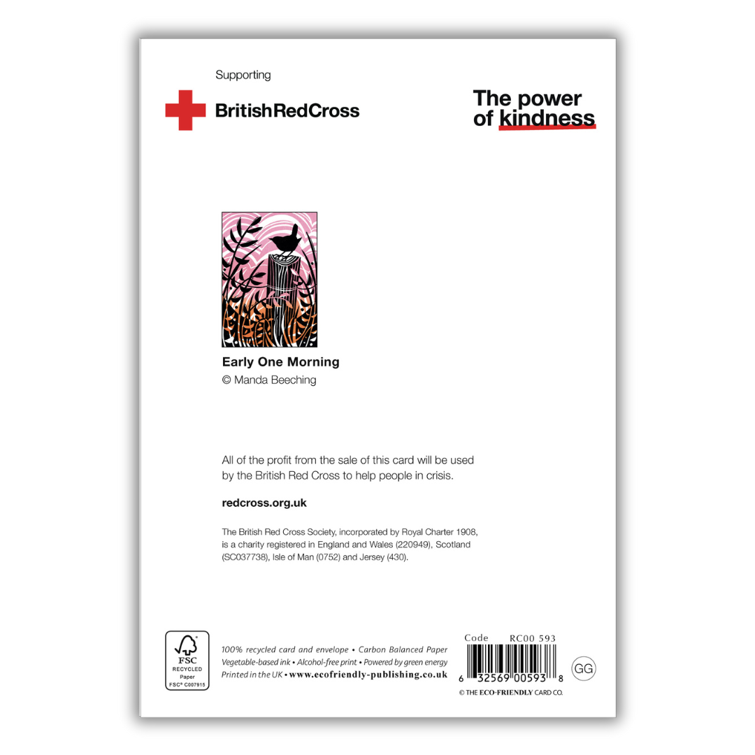 Set of 4 illustrated greeting cards | Manda Beeching