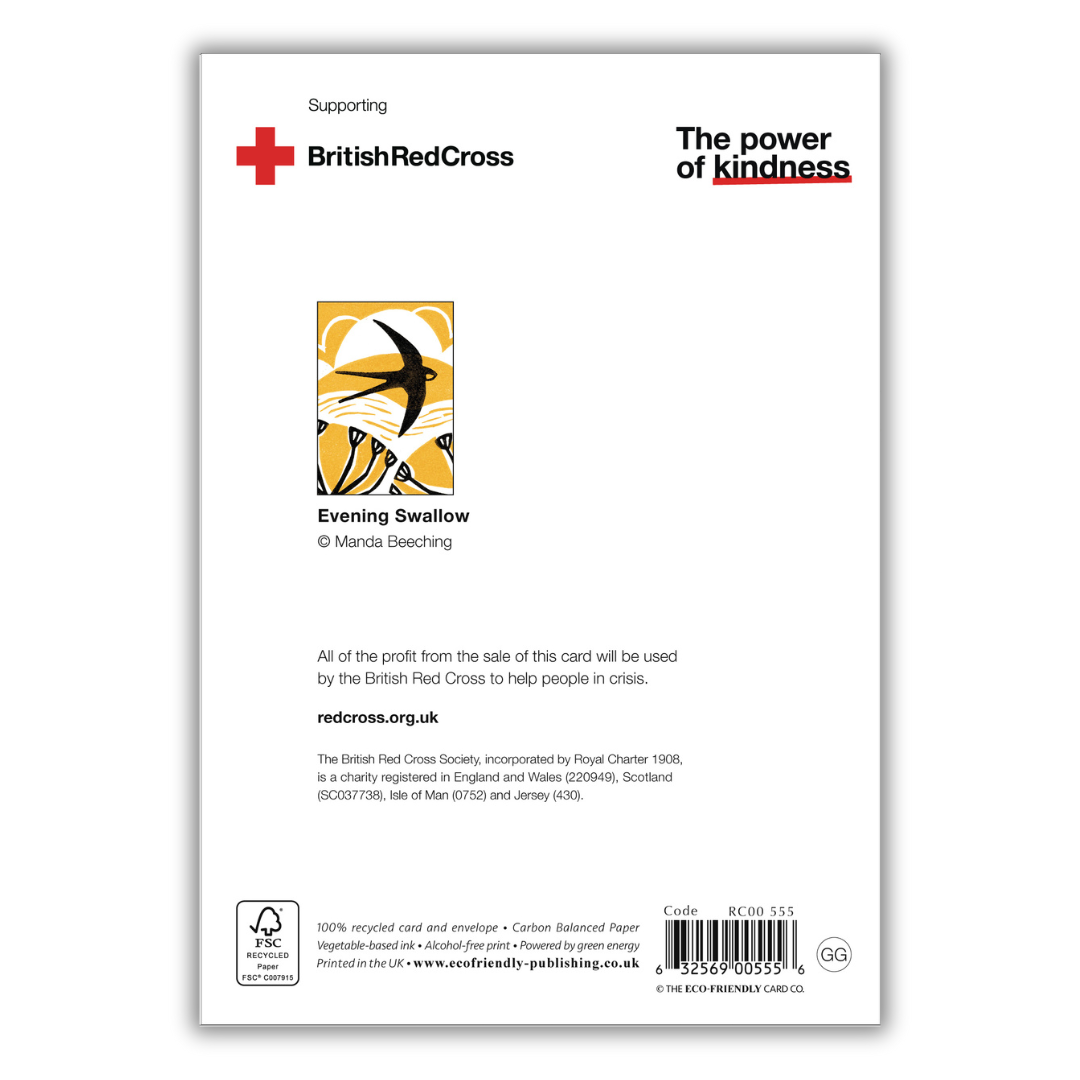 Set of 4 illustrated greeting cards | Manda Beeching