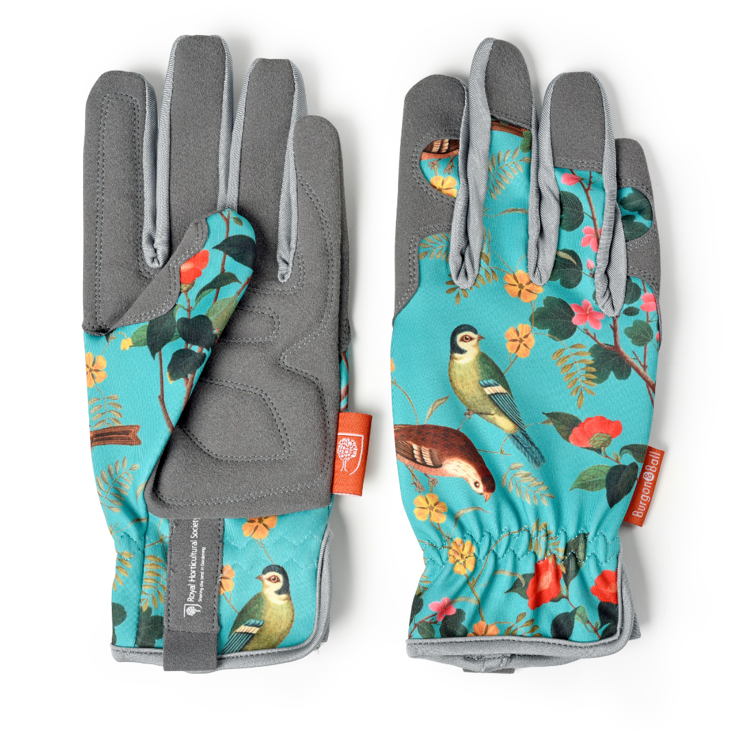 Flora and Fauna | Gloves