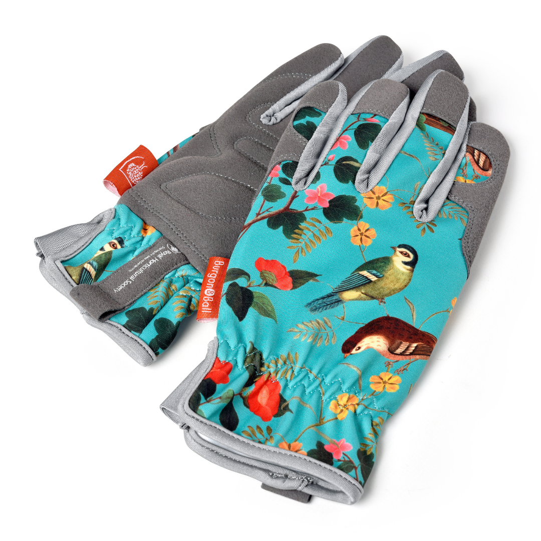 Flora and Fauna | Gloves