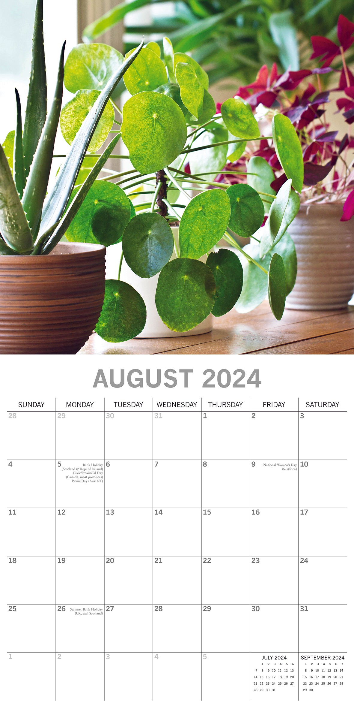 House plants 2024 square wall calendar