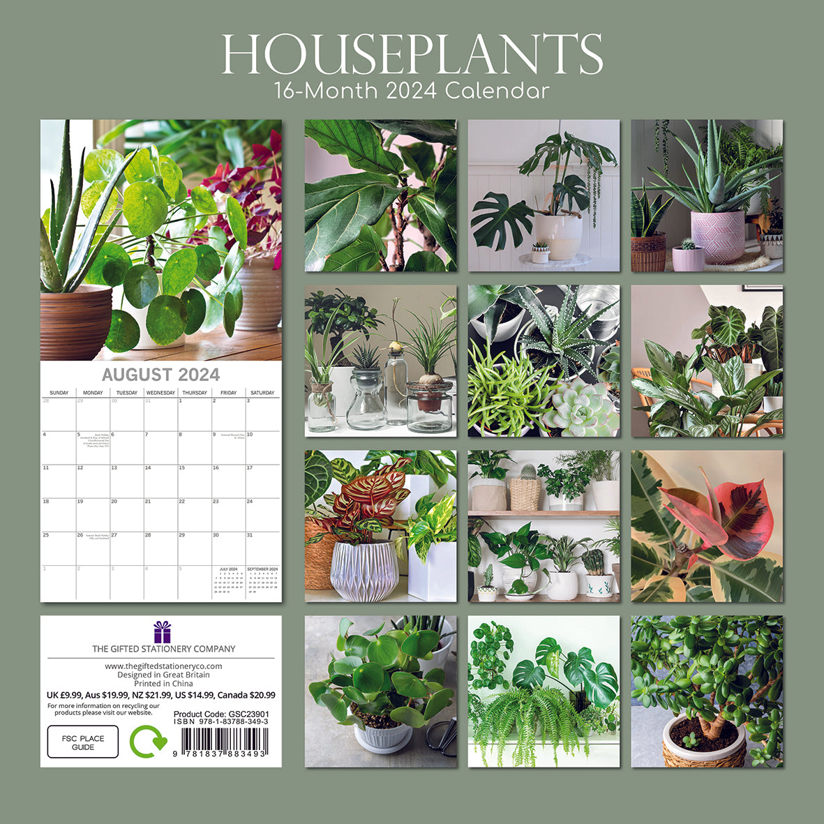 House plants 2024 square wall calendar