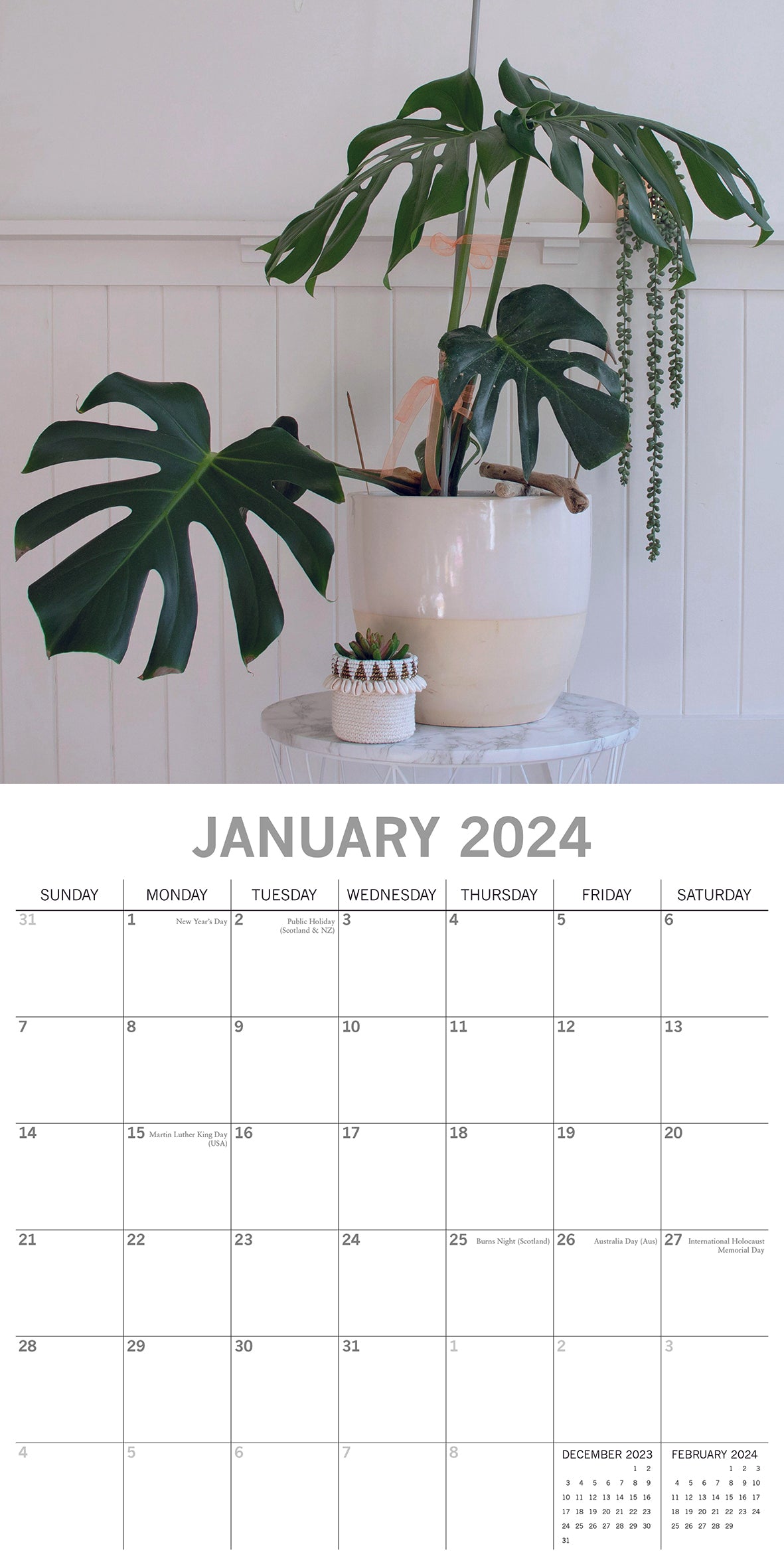 House plants 2024 square wall calendar