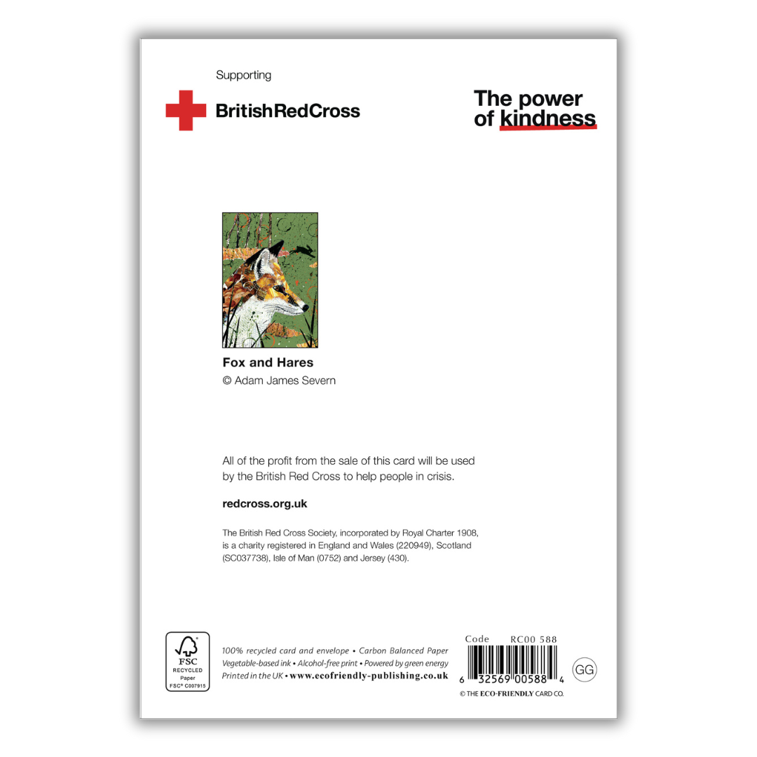 Set of 4 illustrated greeting cards | Adam James Severn