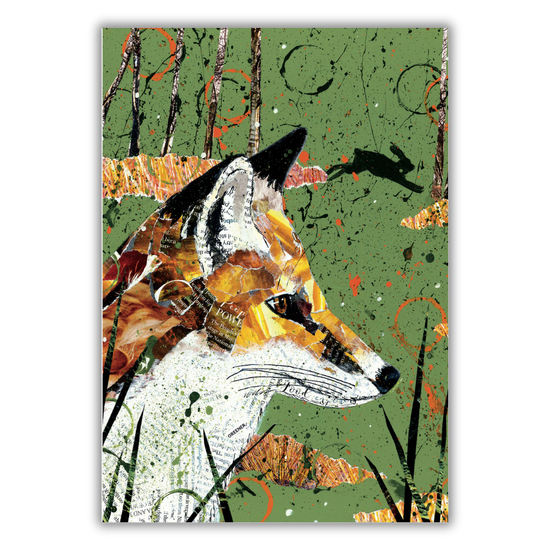 Set of 4 illustrated greeting cards | Adam James Severn