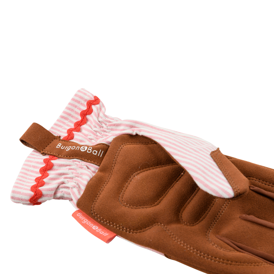 Pink Stripe | Gardening Gloves