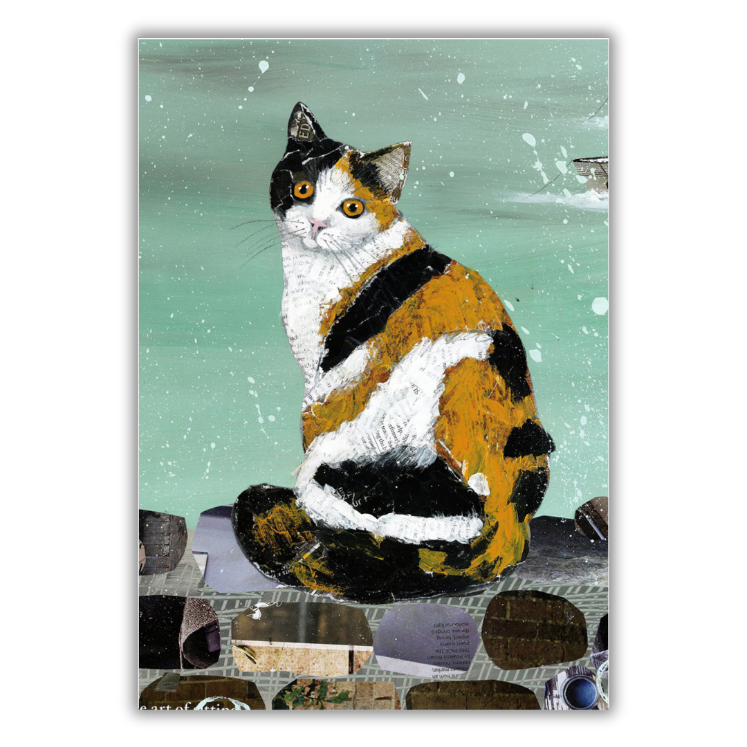 Set of 4 illustrated greeting cards | Adam James Severn