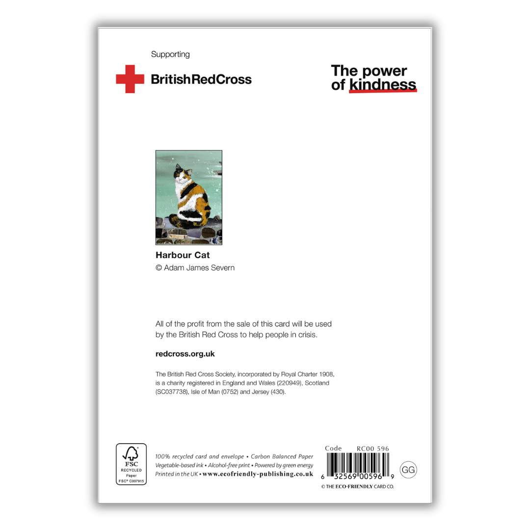 Set of 4 illustrated greeting cards | Adam James Severn