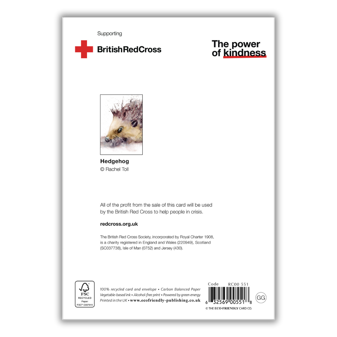 Set of 4 illustrated greeting cards | Rachel Toll