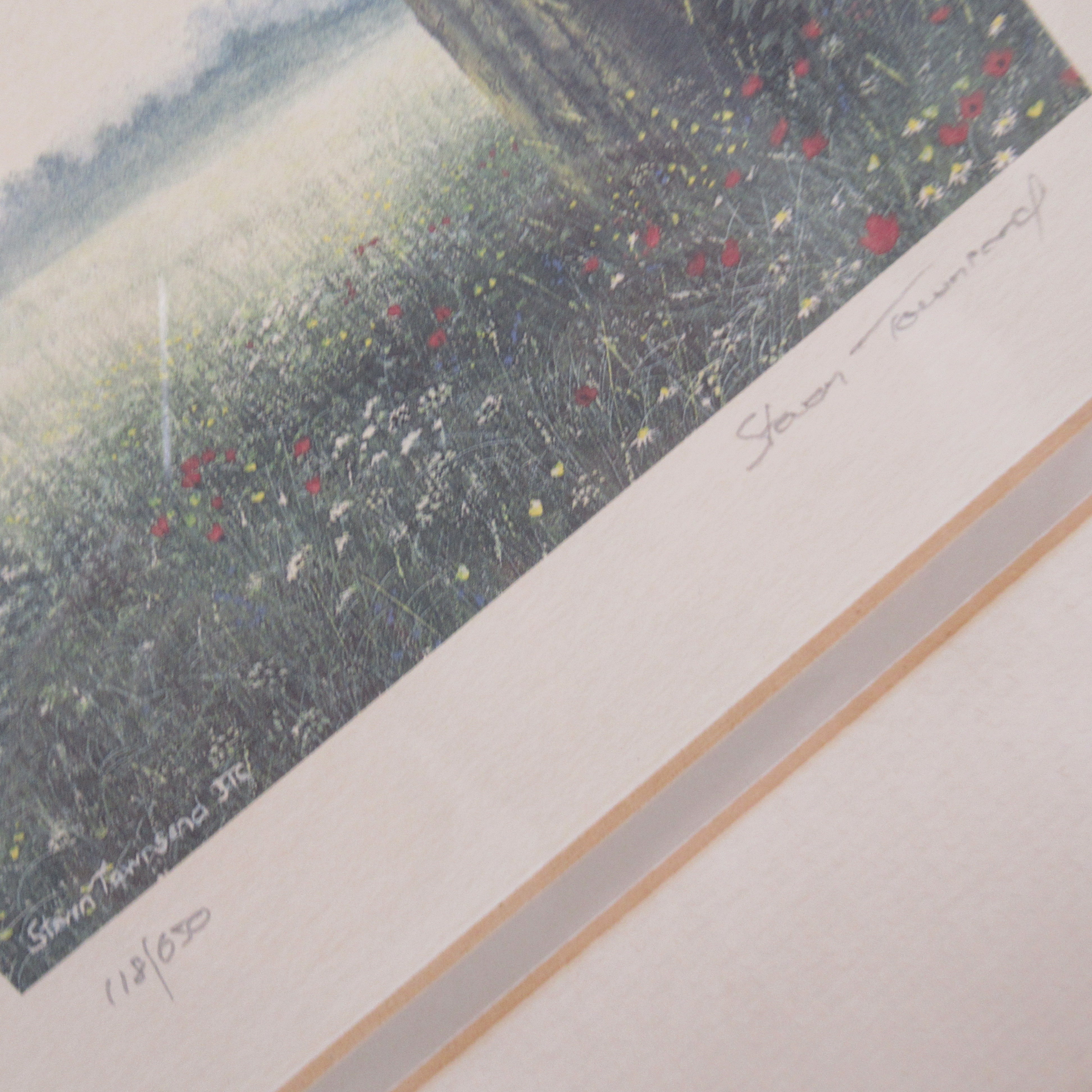 Close up image 1 of Steven Townsend Landscape Art Print 118/650 Framed L1