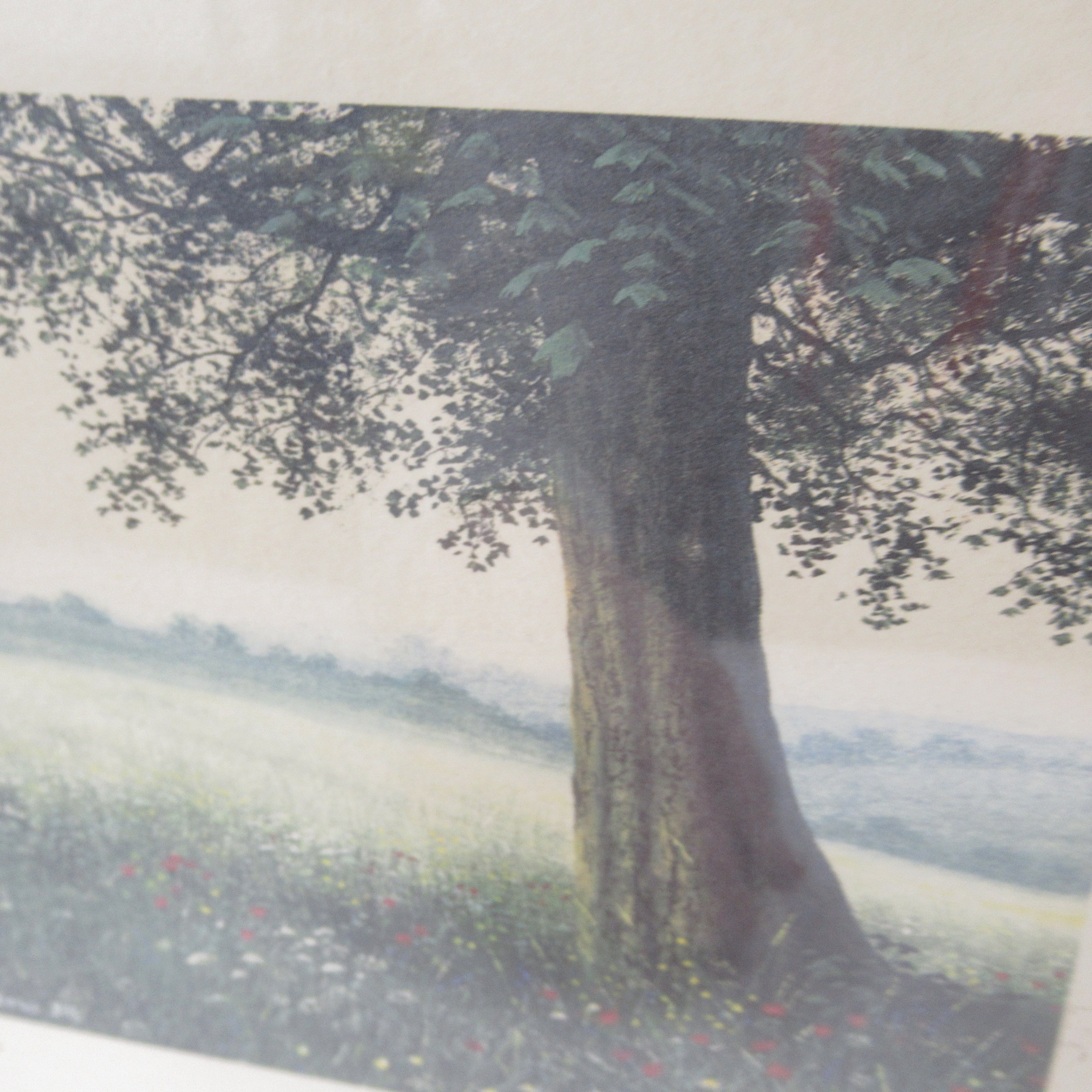 Close up image 2 of Steven Townsend Landscape Art Print 118/650 Framed L1