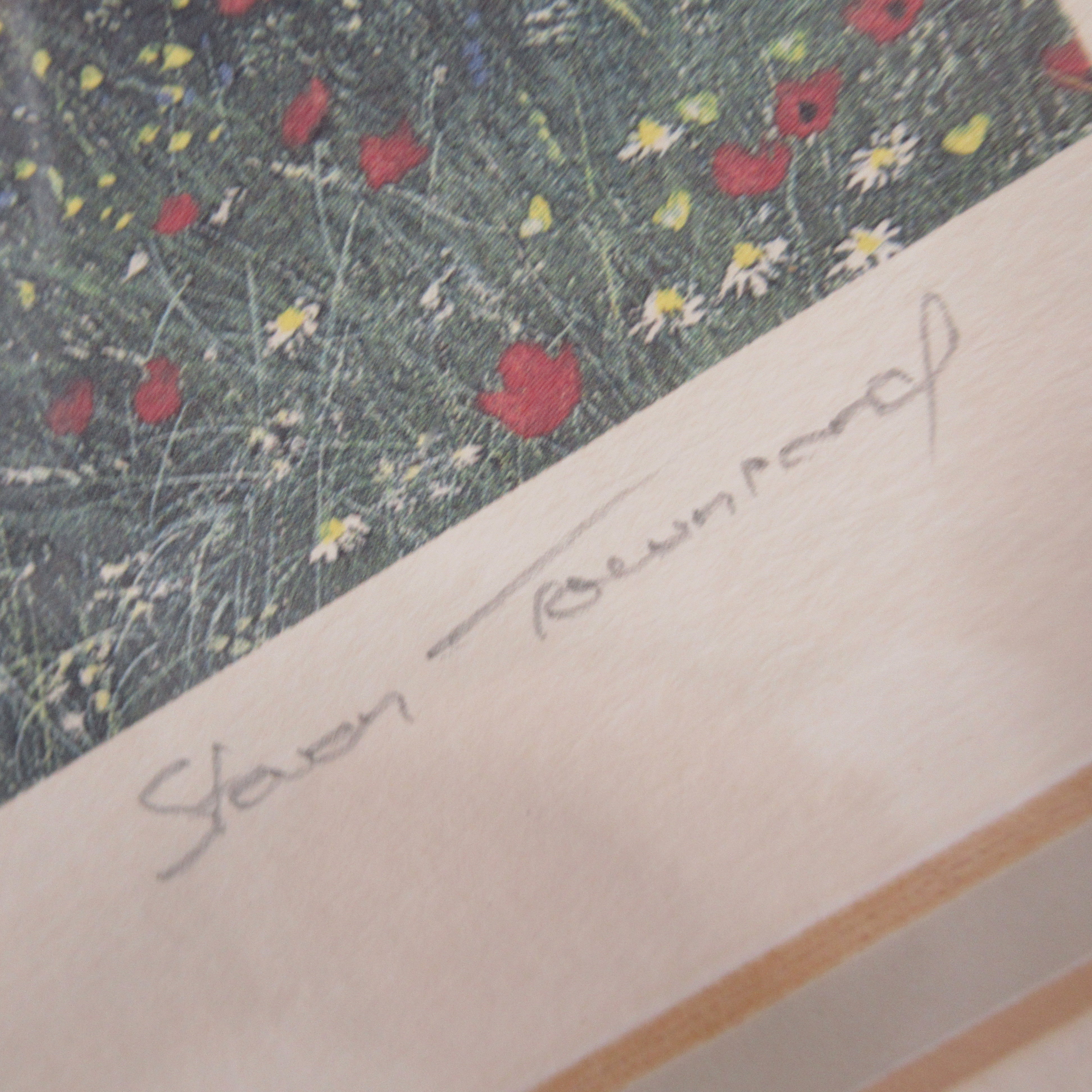 Close up signature of Steven Townsend Landscape Art Print 118/650 Framed L1