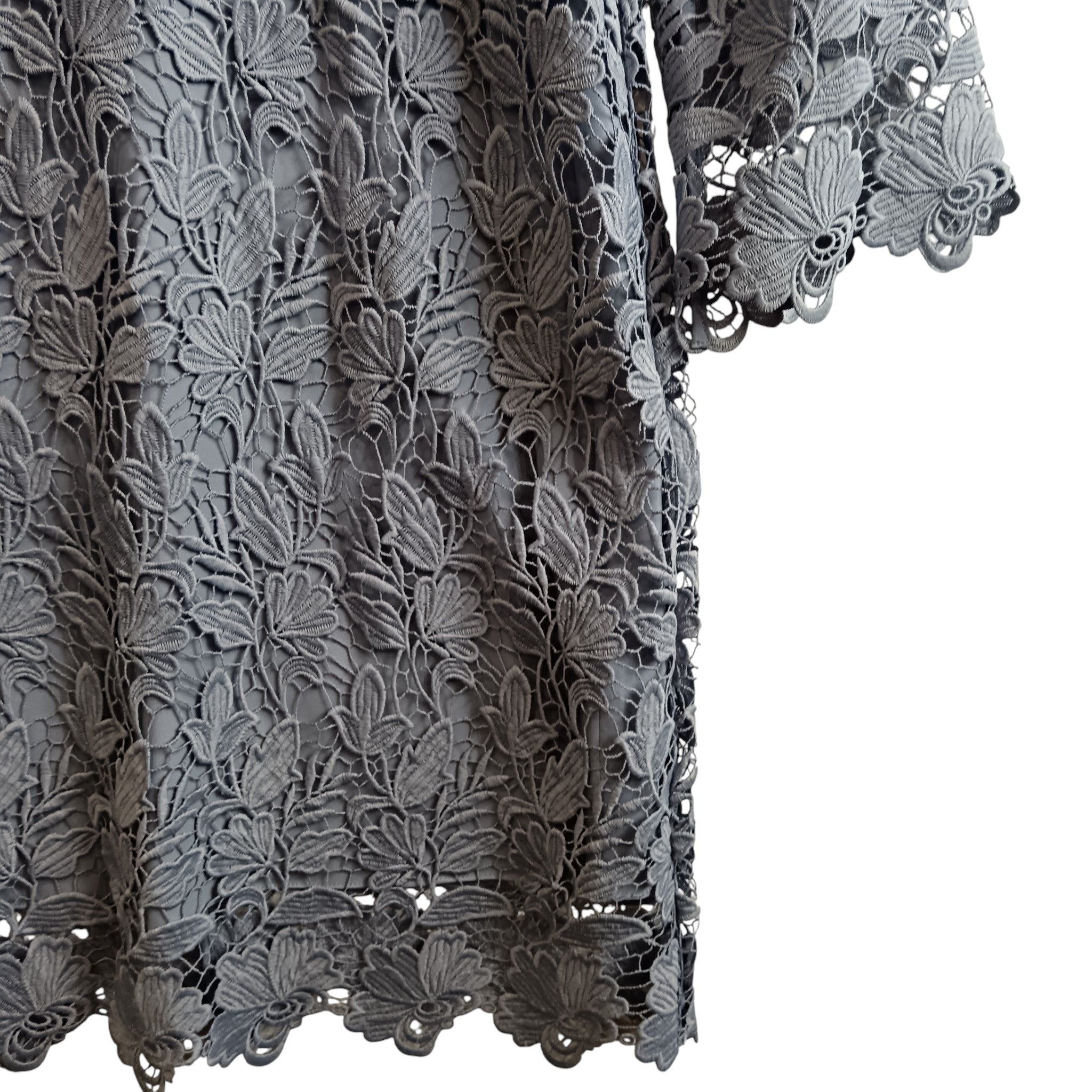 Close up image for Phase Eight Blue Lace Women's Dress Mother of Bride UK 12- Womenswear | Pre-loved