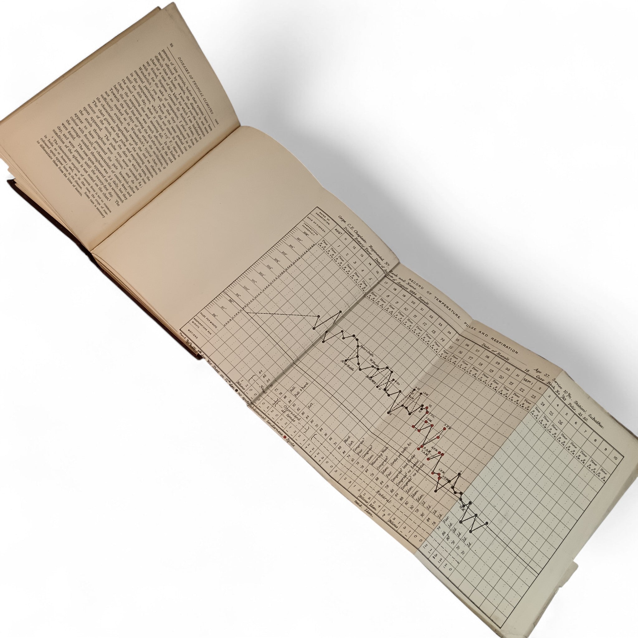 Diseases of Tropical Climates by William C Maclean 1886 | Preloved