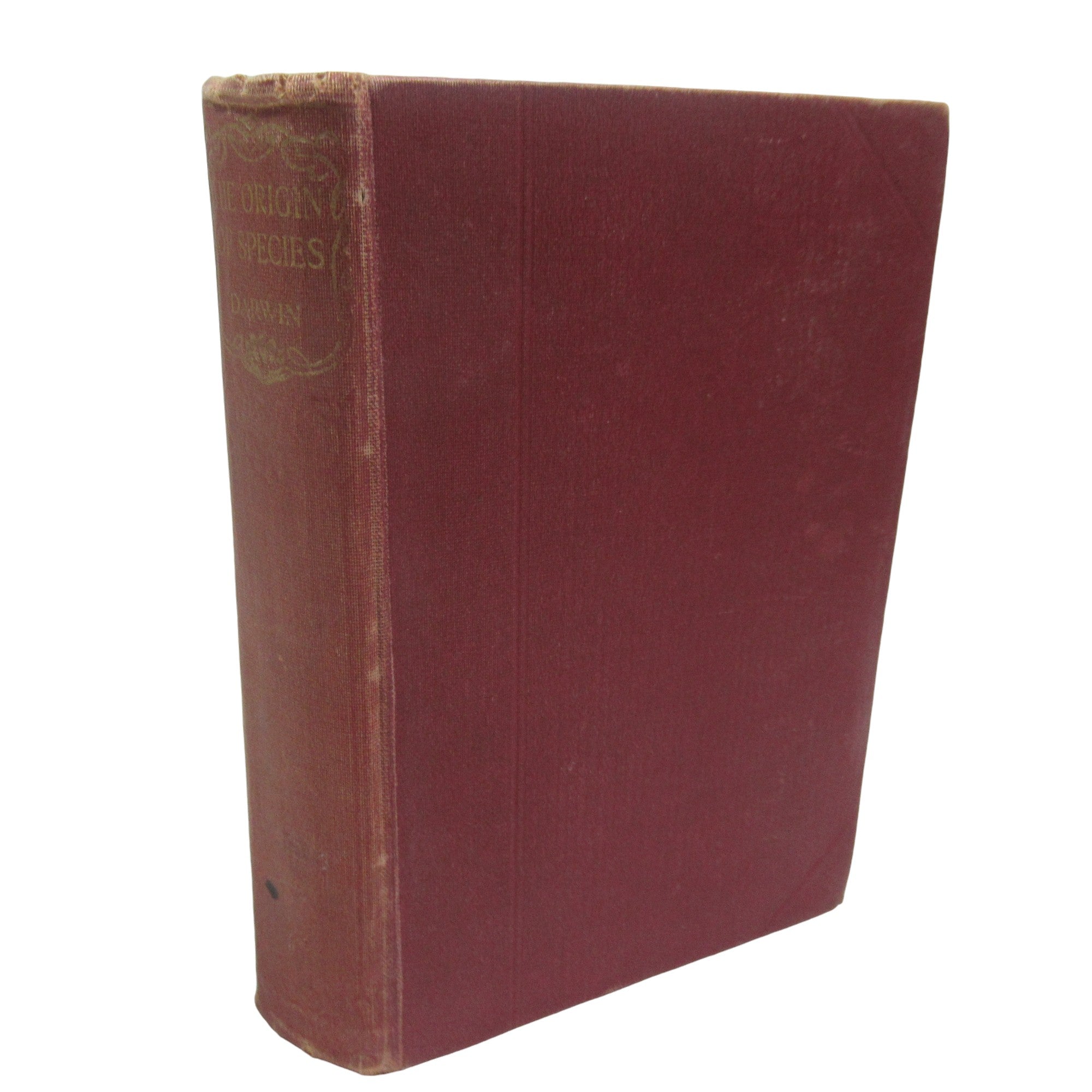 Front image of Origin of Species Charles Darwin Hardback 1872 Sixth Edition