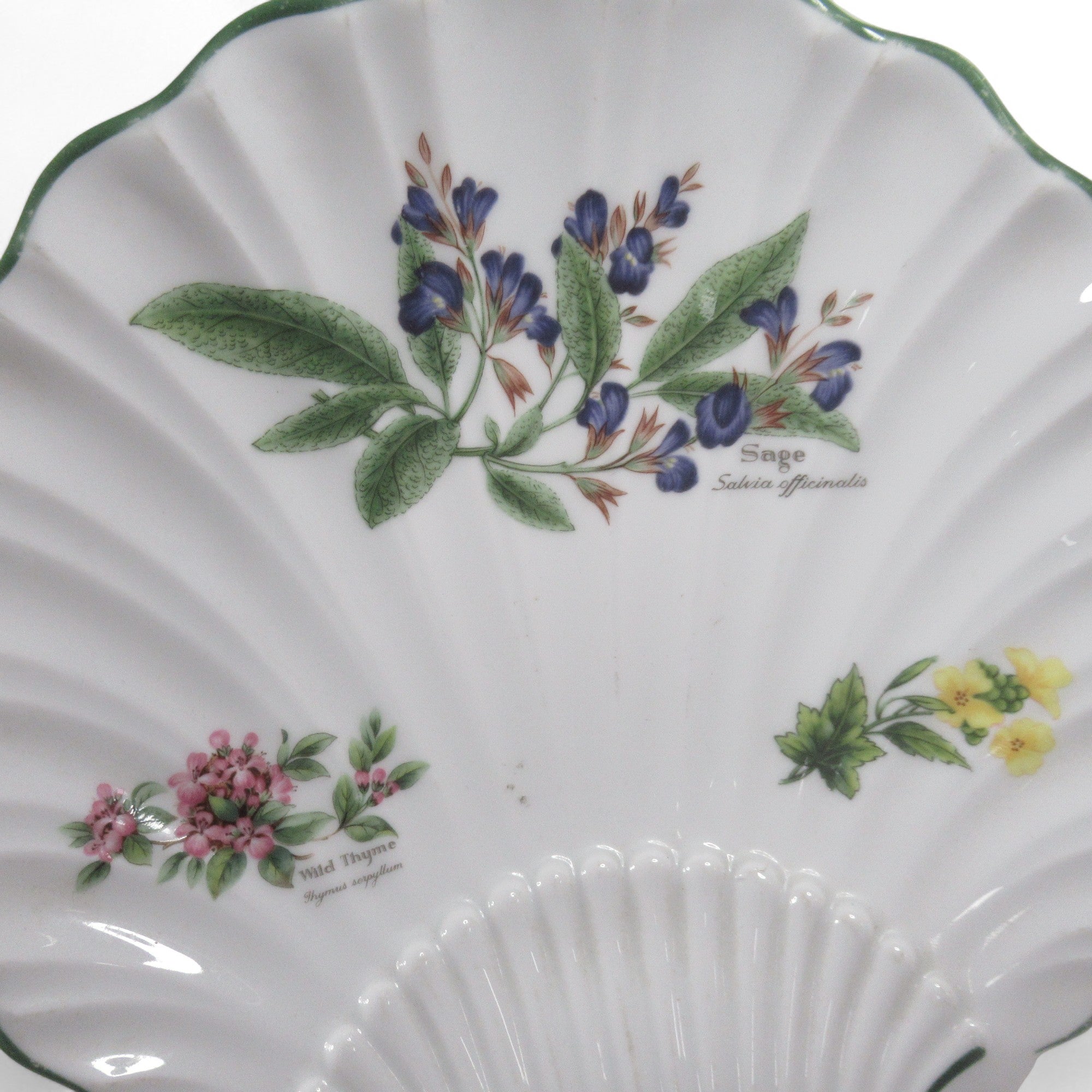 Royal Worcester 1990 Herbs Shell Shaped Dish Porcelain 9" | Pre-loved