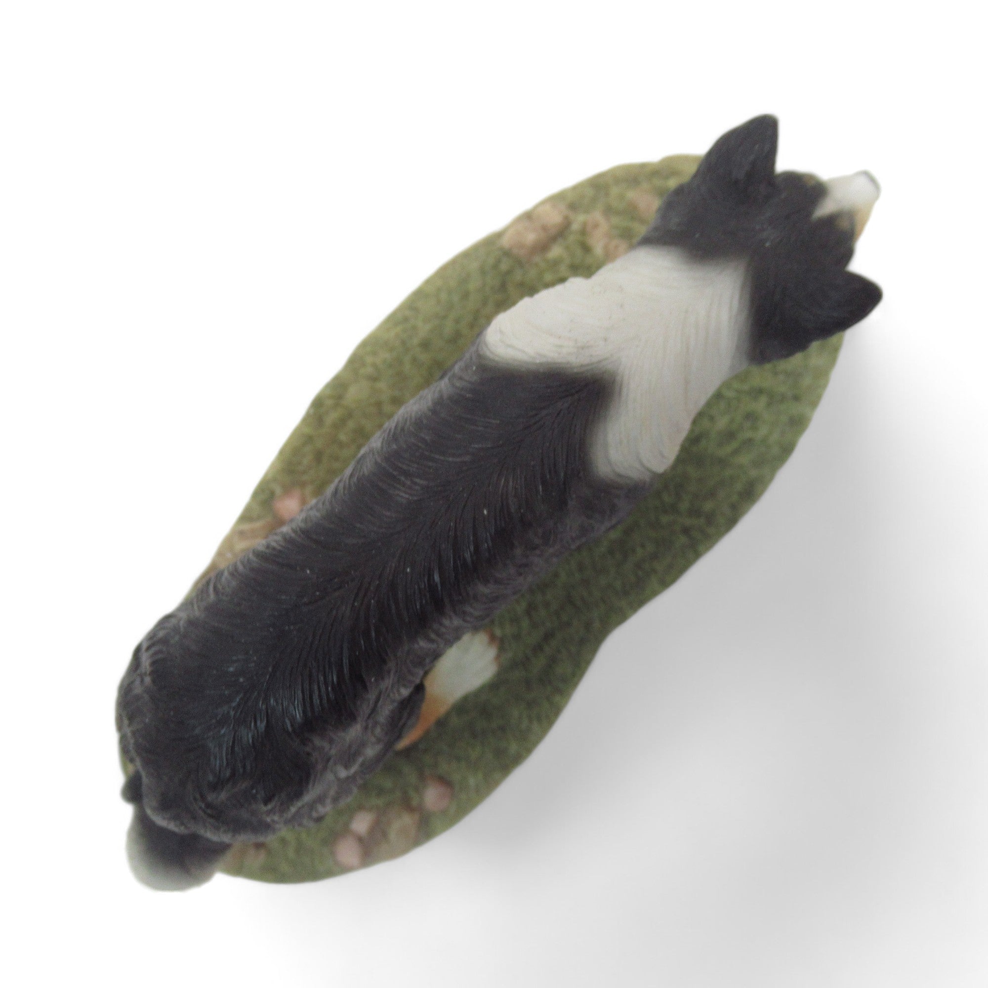 Top image of Best of Breed Border Collie Tri Figurine 2005