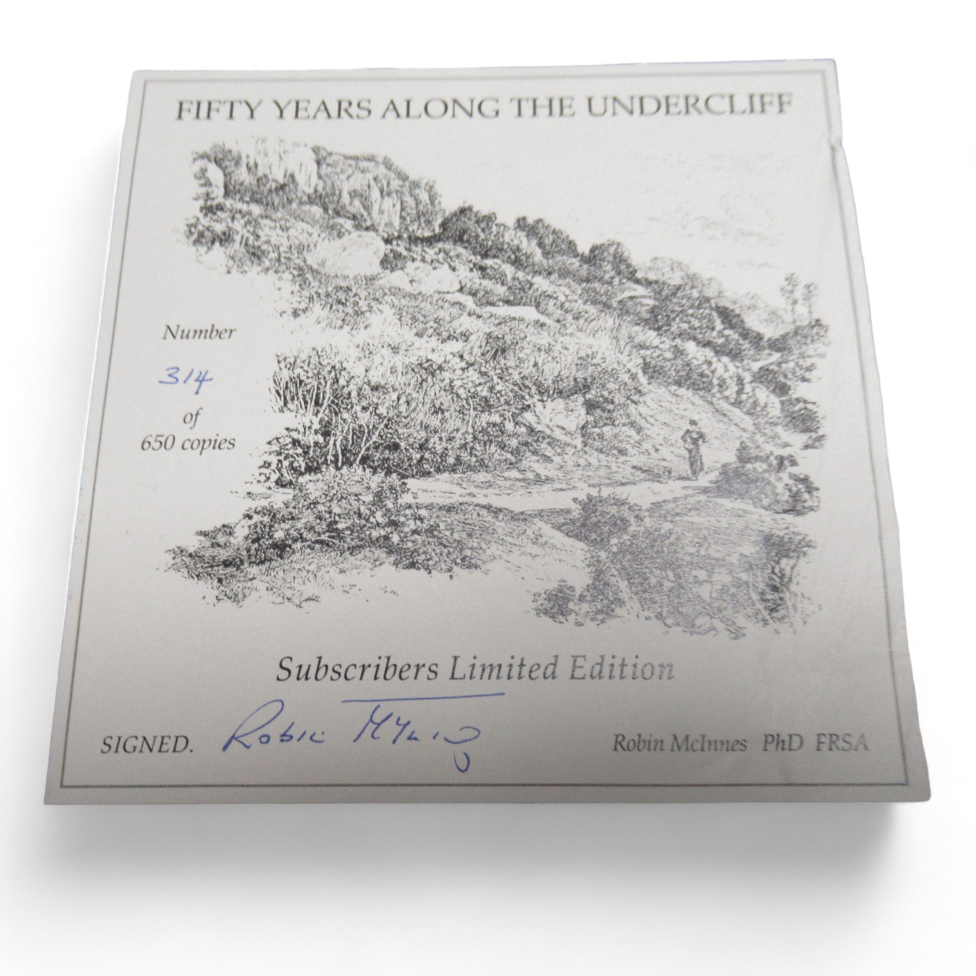 Limited edition detail image of 50 Years along the undercliff by Robin McInnes 2005