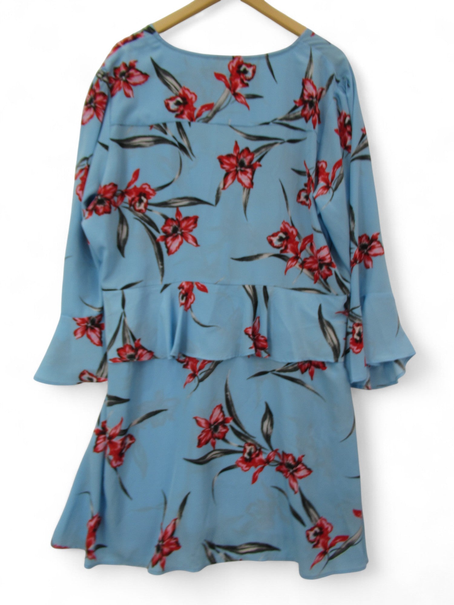 back image for Neon Rose Floral Dress UK 24 Blue Red Womenswear | Pre-loved
