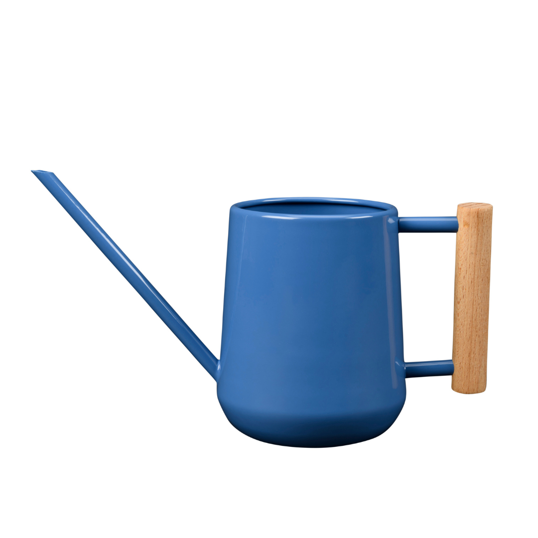 Blue | 0.7 Litre Indoor Watering Can