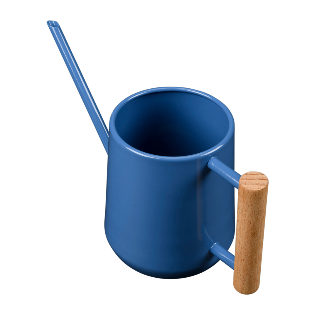 Blue | 0.7 Litre Indoor Watering Can