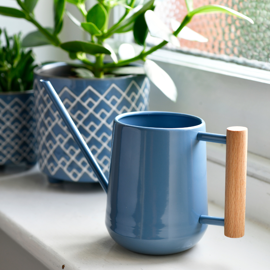 Blue | 0.7 Litre Indoor Watering Can