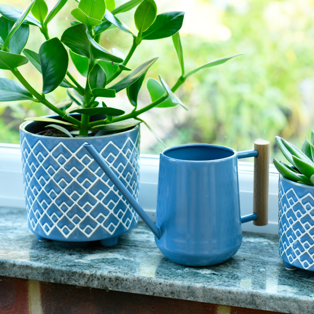 Blue | 0.7 Litre Indoor Watering Can