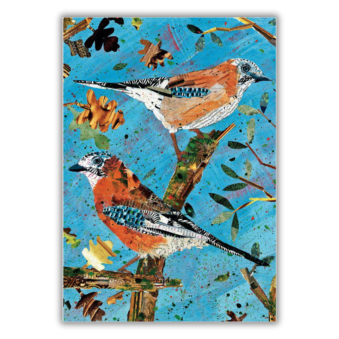 Set of 4 illustrated greeting cards | Adam James Severn